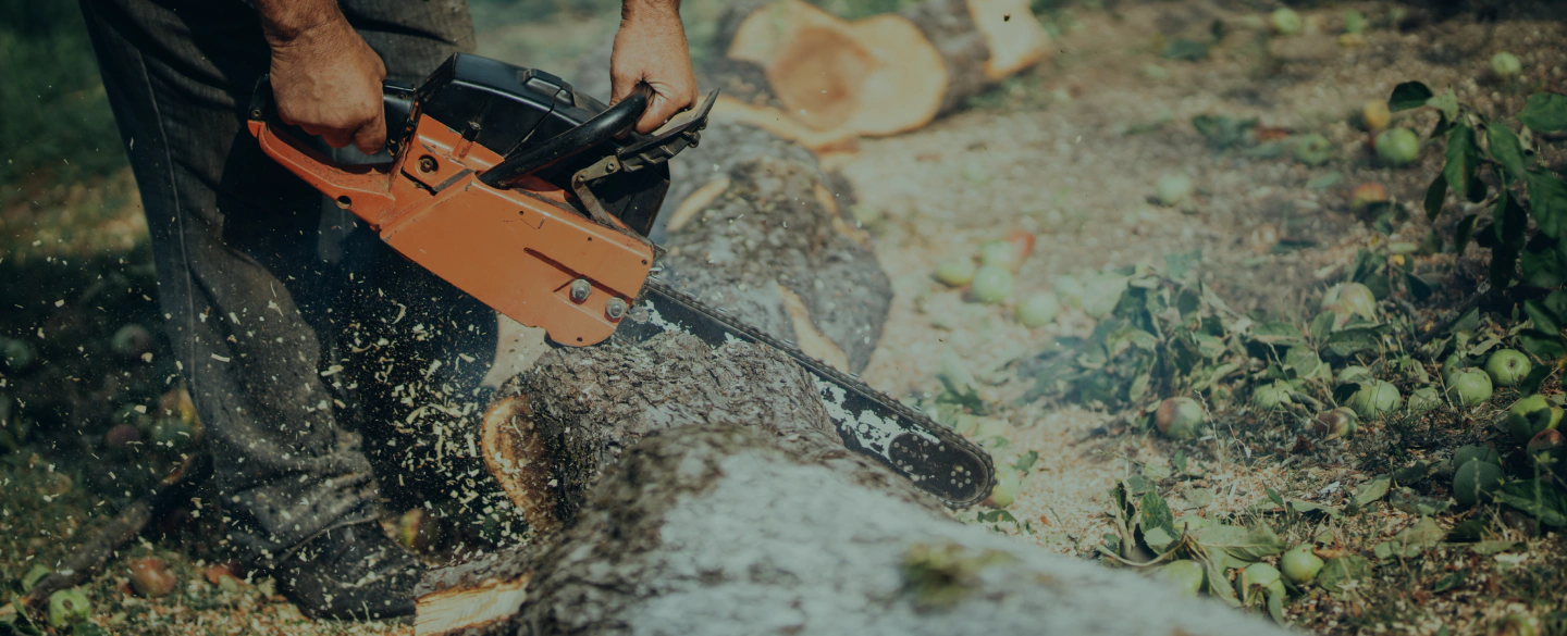 cutting trunk with chainsaw clinton ok