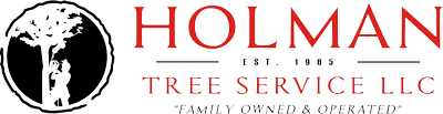 holman tree logo