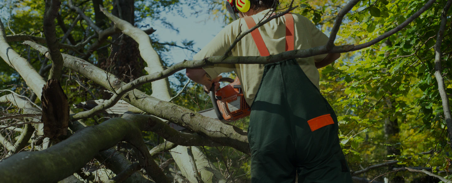 tree service worker clinton ok